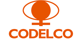 Codelco Homologado